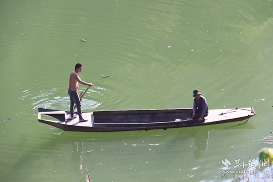 乘船出行、打魚(yú)至今都是盤(pán)山村民生活的一部分 黃錚 攝_副本.jpg